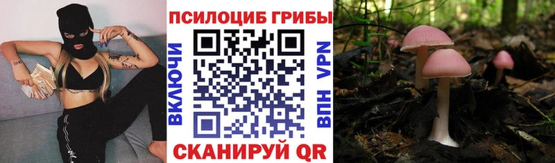 наркота  Шали  Псилоцибиновые грибы GOLDEN TEACHER 
